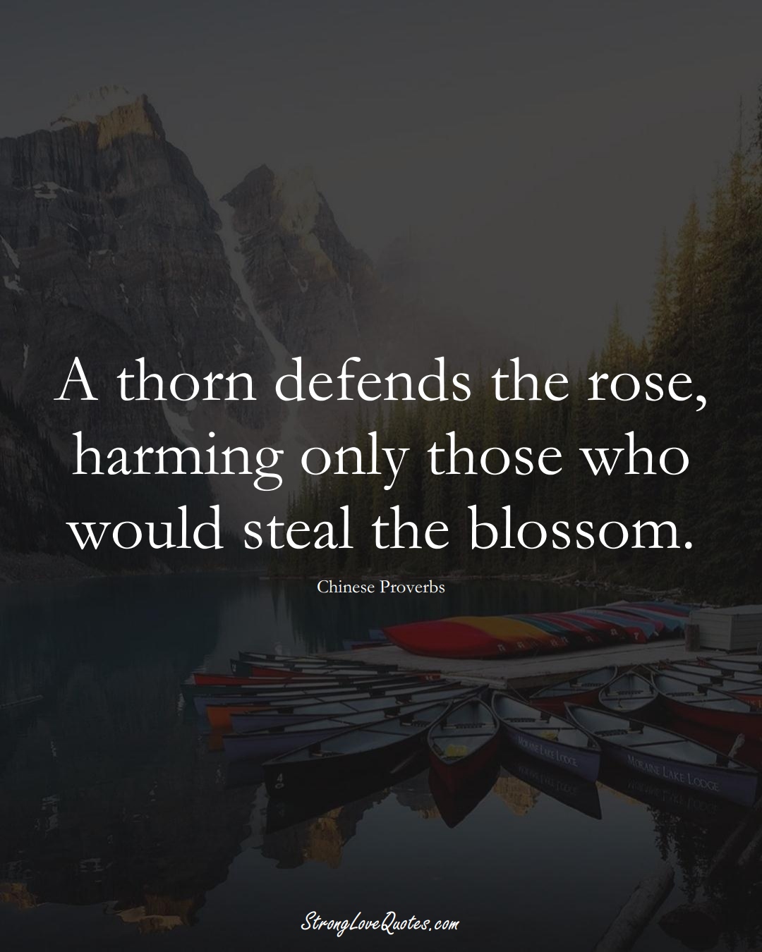 A thorn defends the rose, harming only those who would steal the blossom. (Chinese Sayings);  #AsianSayings