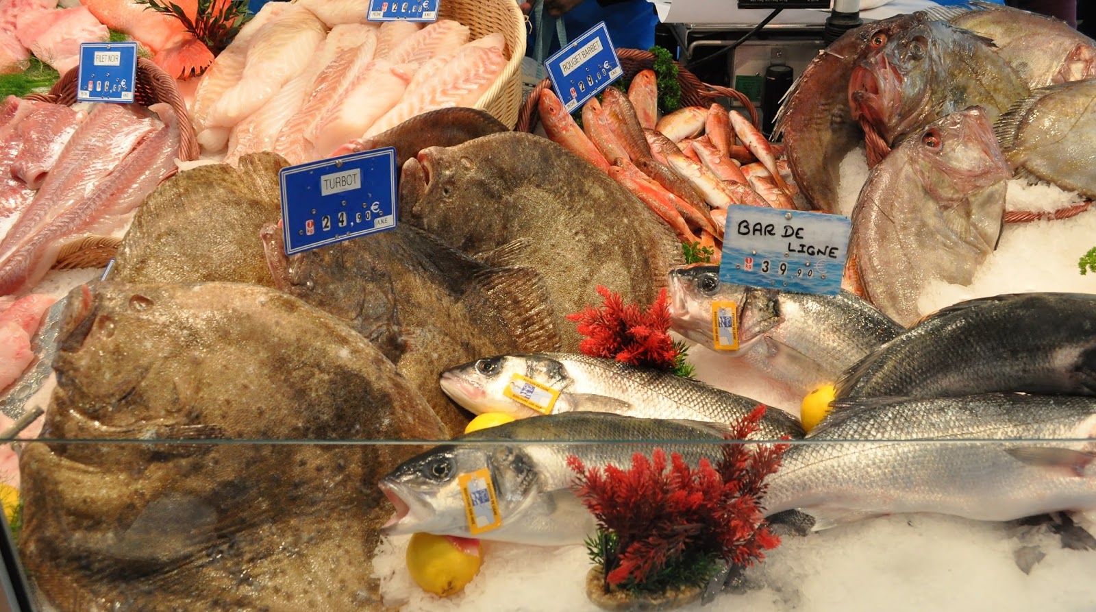 Our House in Provence, the Most Beautiful Region of France SainteCécilelesVignes, home to