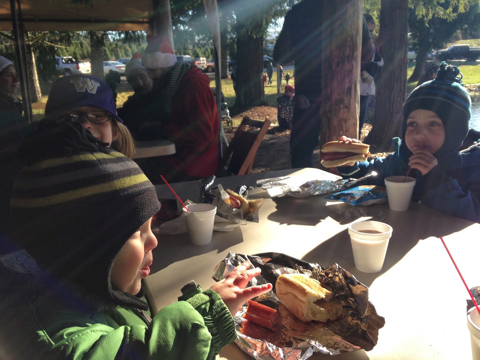 The Oregon Corrigans Christmas Tree Hunt