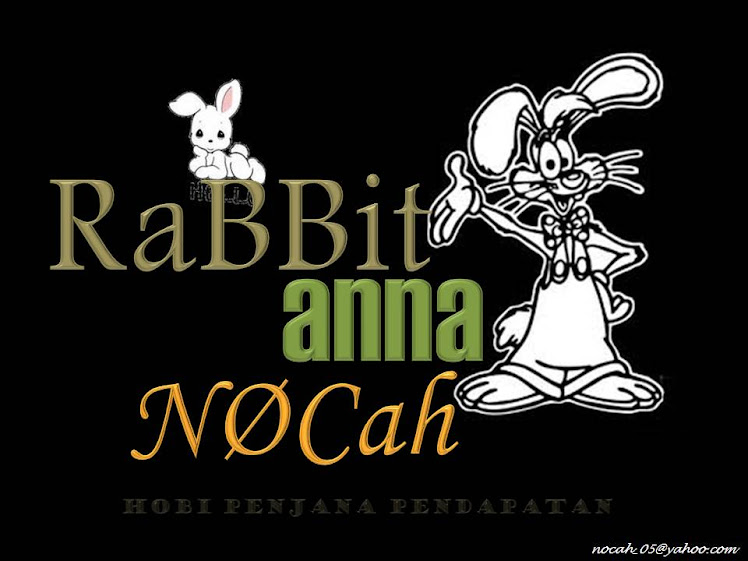 Rabbit ANNA NOCAH