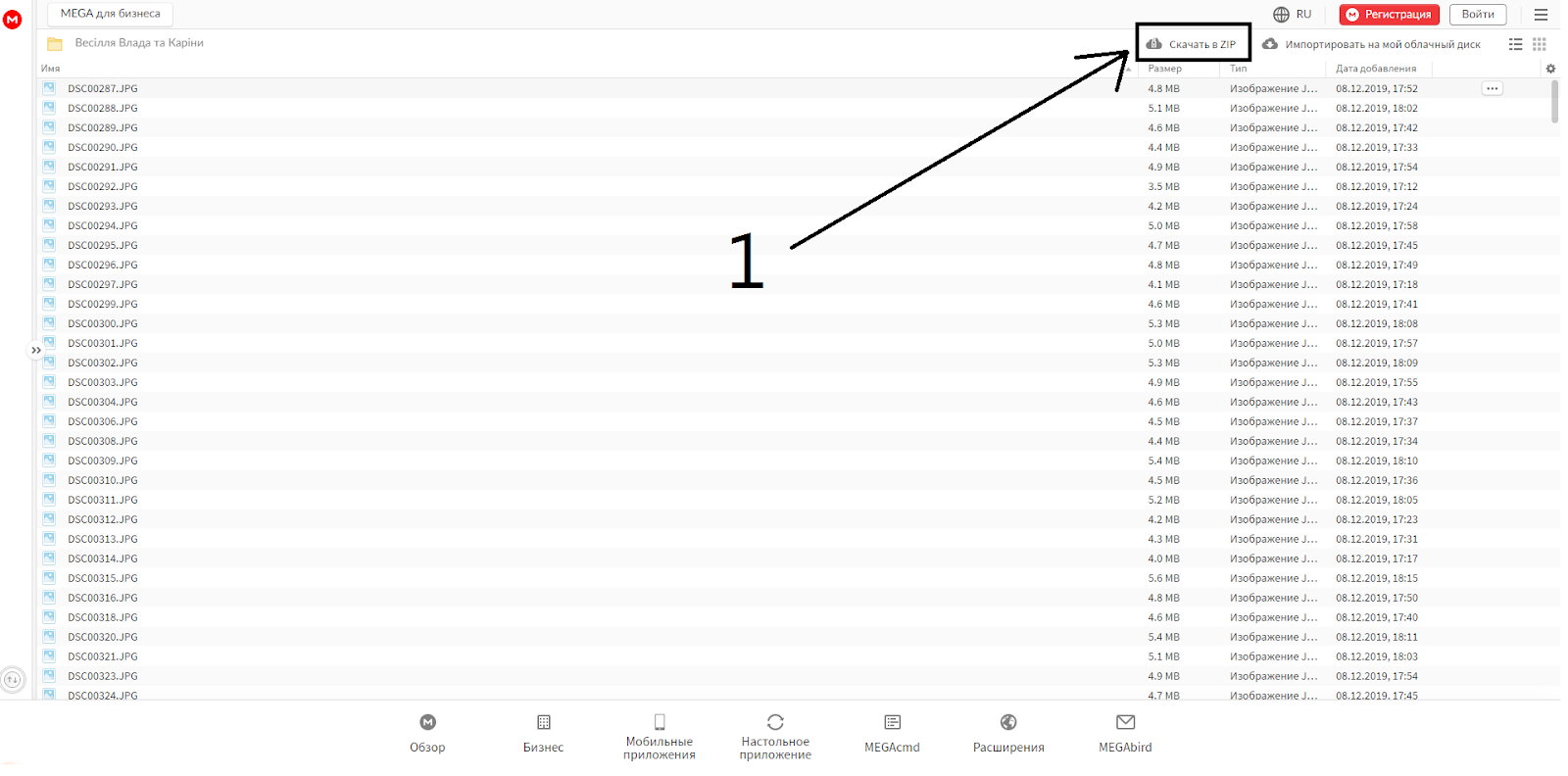 Как скачать фото или файлы с Mega.nz —