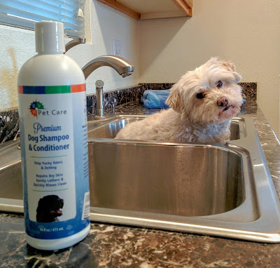 BVH Pet Care's Dog Shampoo & Conditioner contains all natural ingredients