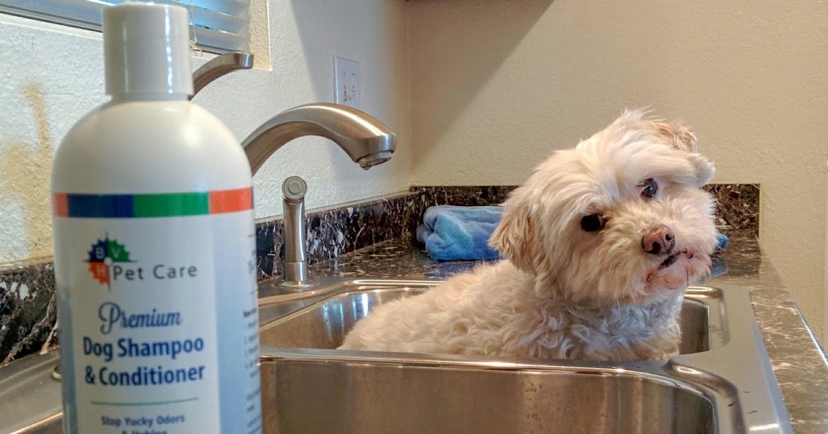 Dogs Luv Us and We Luv Them Bathe Dogs Naturally With BVH PET CARE