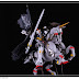 Custom Build: MG 1/100 Crossbone Gundam X1 "Rise of the Skull"