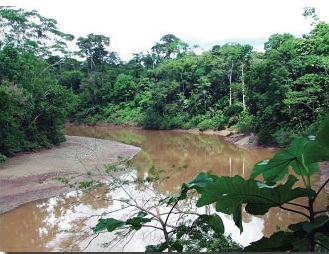 Reserva Ecológica Cofan Bermejo
