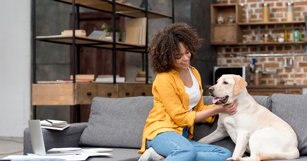 Dog The Best friend Time Alongside A Individual Benefits Fearful Dogs Inwards Shelters
