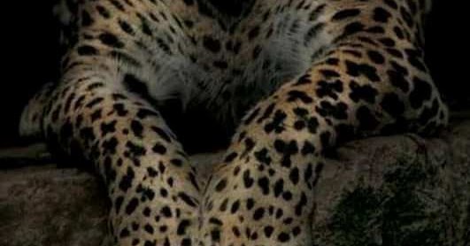 PT. JAGUARD JAYA PERKASA INDONESIA: ABOUT US : Om JAGUARD