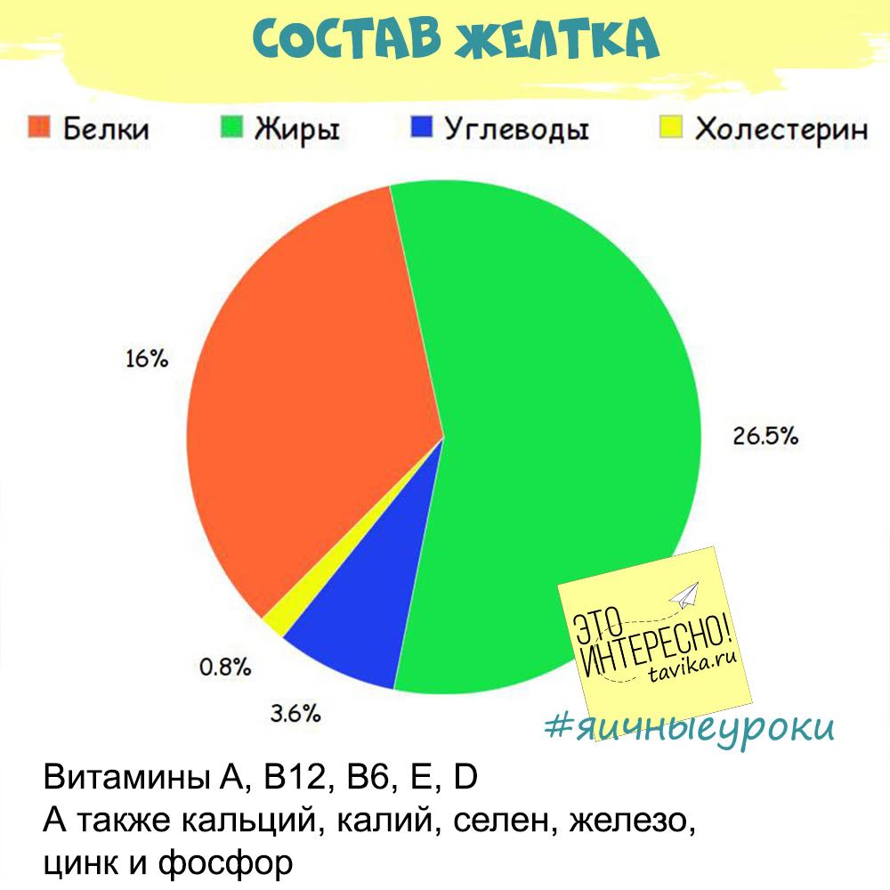 желток состав. состав яичного желтка. состав яичного желтка. желток яйца состав. строение скорлупы куриного яйца.