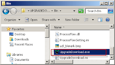 UpgradeDownload.exe
