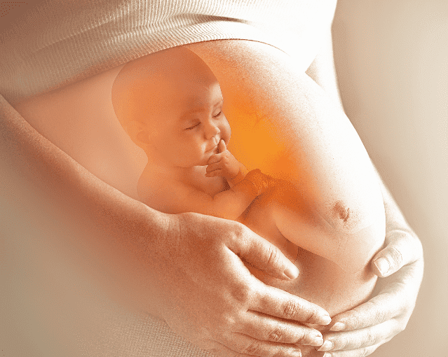 تشوهات الجنين اثناء فتره الحمل اسبابها والاطعمة التي تمنع حدوثها
