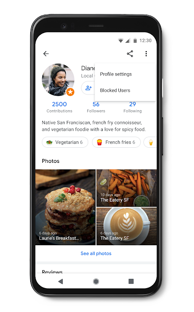 Screenshot eines Local Guide Profils mit aufgerufenen Einstellungen