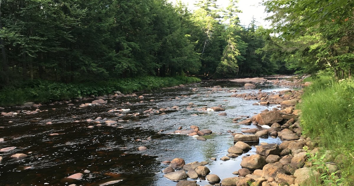 A LA RECHERCHE DE IN SEARCH OF... Oswegatchie