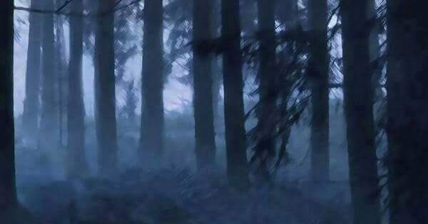 Distancia Untouchable One Scan Vf Distancia~The Untouchable One~ S1: 2