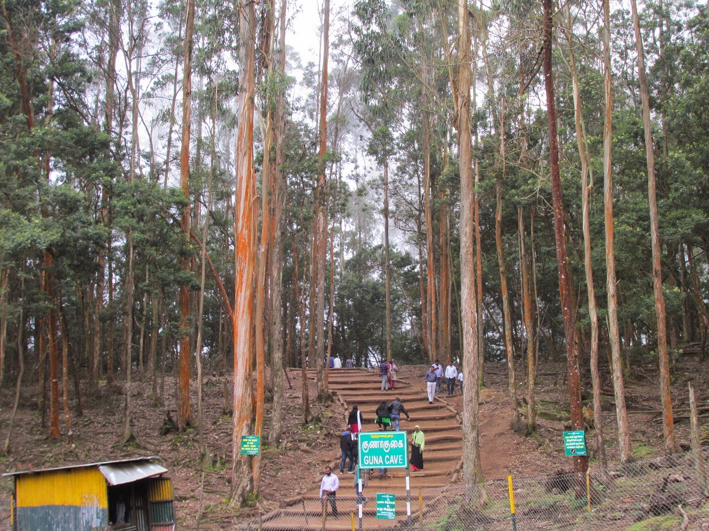 Tamilnadu Tourism: Guna Caves (Devil’s Kitchen), Kodaikanal