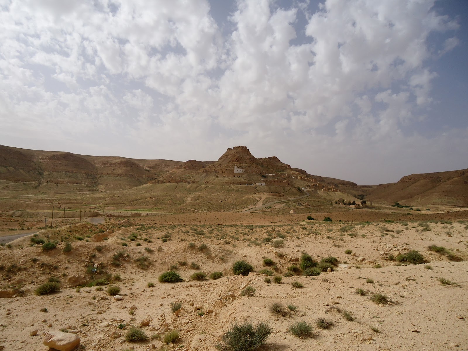 Action Sahara Solidarité A l'ouest de Ras el Oued