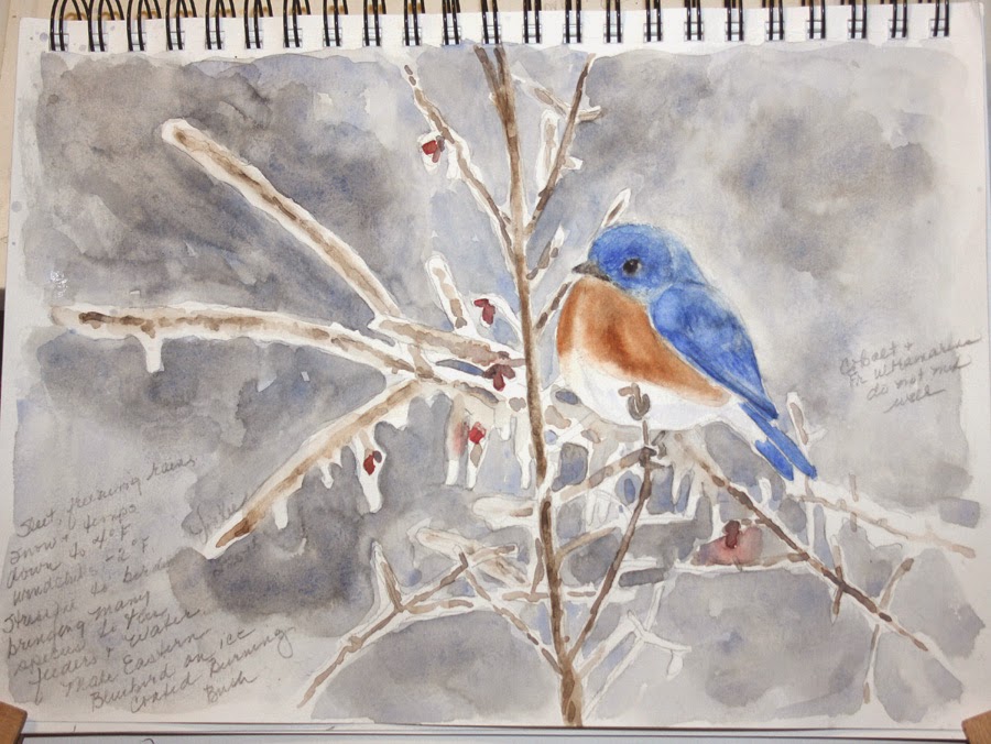Vickie's Sketchbook: Winter Watercolor--Bluebirds and Ice
