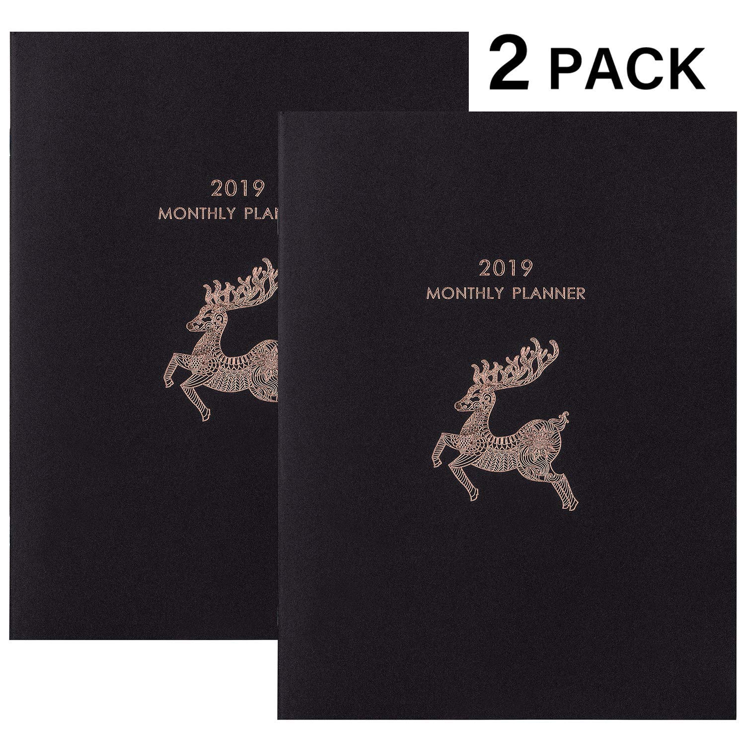 3 99 reg 8 99 free ship 2019 monthly planner 2 pack qpanion