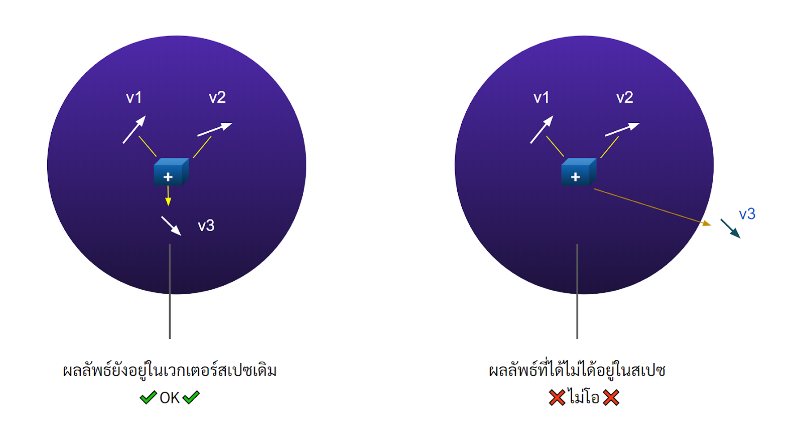 Vector Space Operator