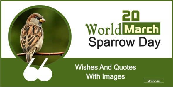 2021 World Sparrow Day Quotes Wishes In Hindi With Images 20 March à¤µ à¤¶ à¤µ à¤ à¤° à¤¯ à¤¦ à¤µà¤¸ à¤¸ à¤² à¤à¤¨ à¤¸à¤¨ à¤¦ à¤¶ Wahh Hindi Blog पानी की एक बूंद गर्म तवे पर पड़े तो मिट जाती है, कमल के पत्तो पर गिरे तो मोती की तरह चमकने लगती है, शिप slogan on water conservation in hindi. 2021 world sparrow day quotes wishes