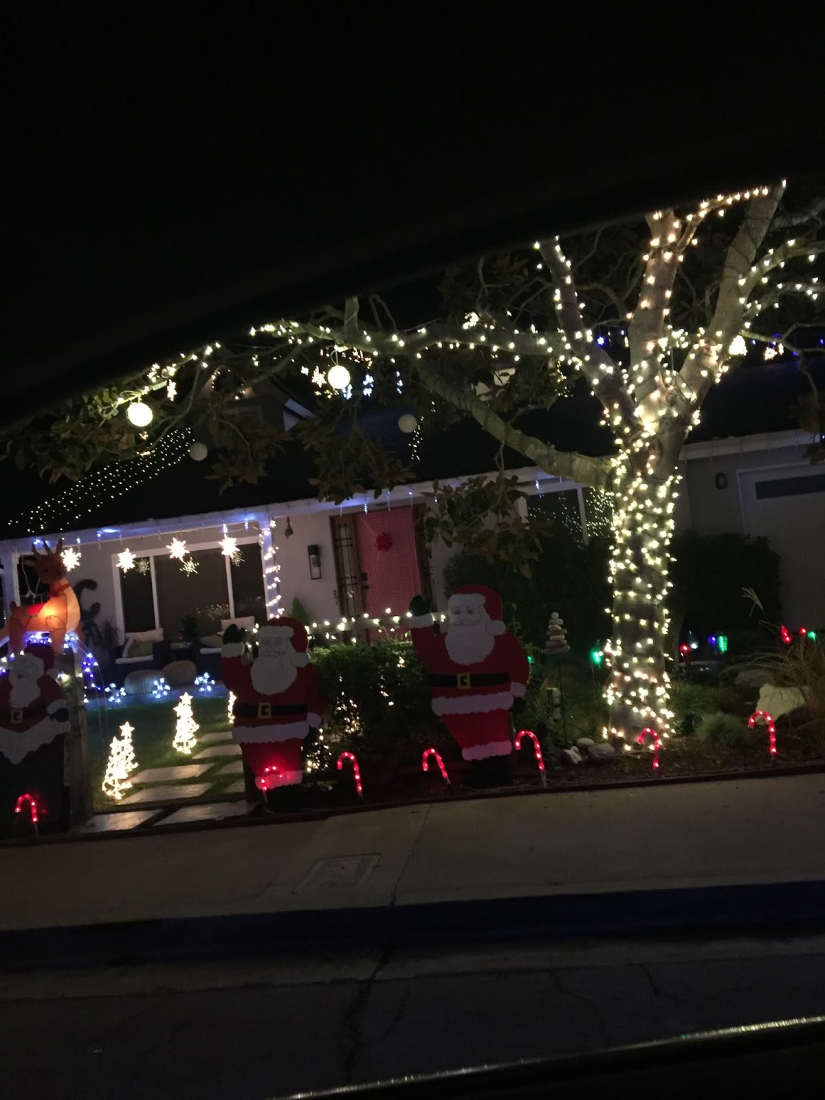 Santa Barbara Sights and Events Christmas Lights in Santa Barbara