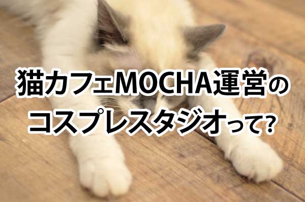 猫カフェmocha運営のコスプレスタジオって サンリオの英断とは Cosmap