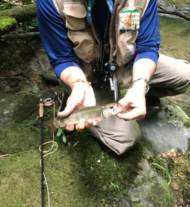 Western Virginia Brook Trout Fishing