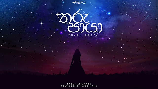 Tharu Paya Song Lyrics - තරු පායා ගීතයේ පද පෙළ