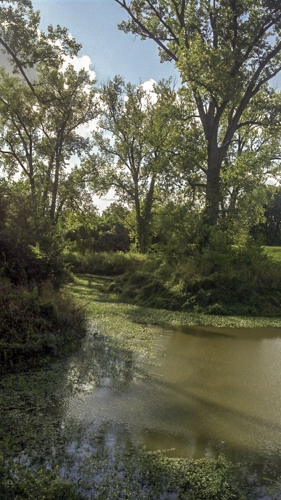 Colorful pond in St Charles Missouri along the Katy Trail