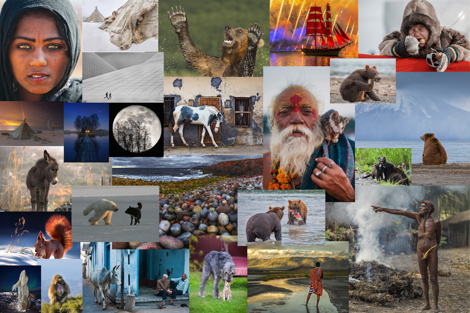 Лучшие фотографии от National Georgaphic Россия за 2016 год