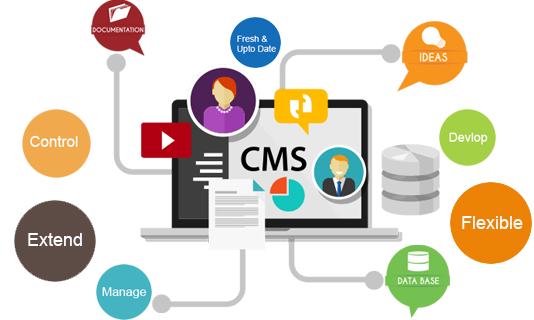 CMS  Customization Services in Delhi