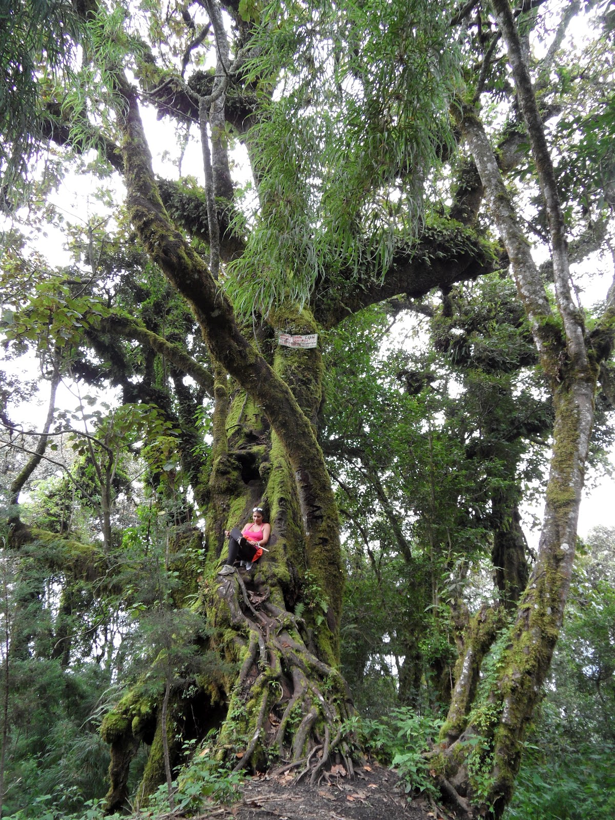 Escalando o Vulcão Acatenango - MUNDI360