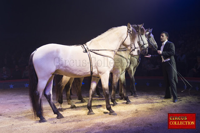 Maycol donne une récompense aux chevaux pour les remercier d'avoir bien travaillé .