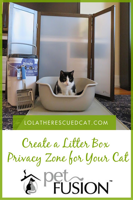 PetFusion Litter Boxes and Accessories