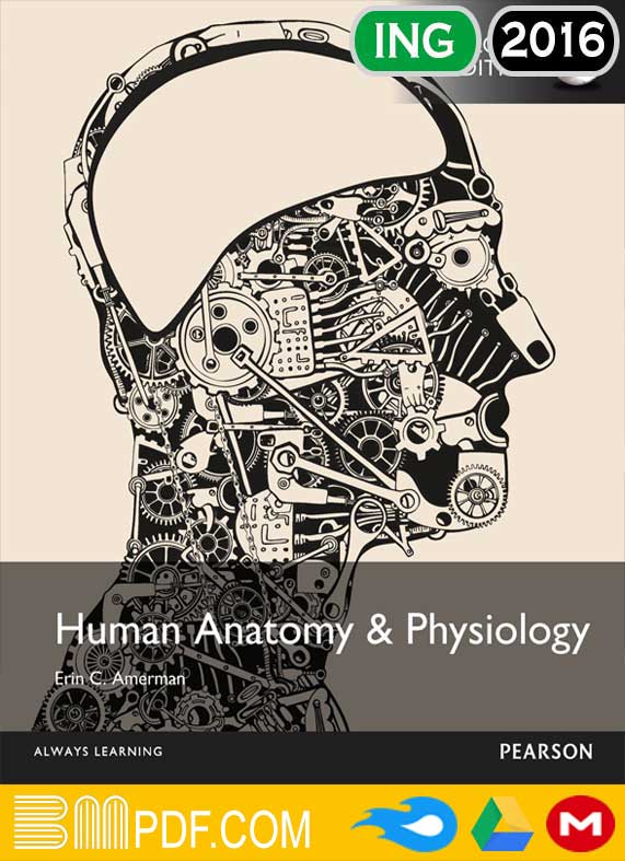 Erin Human anatomy & physiology Pearson PDF
