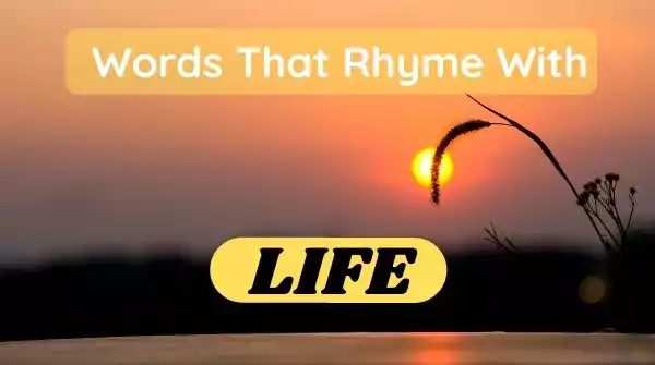 Words That Rhyme With Life Words That Rhyme With Life