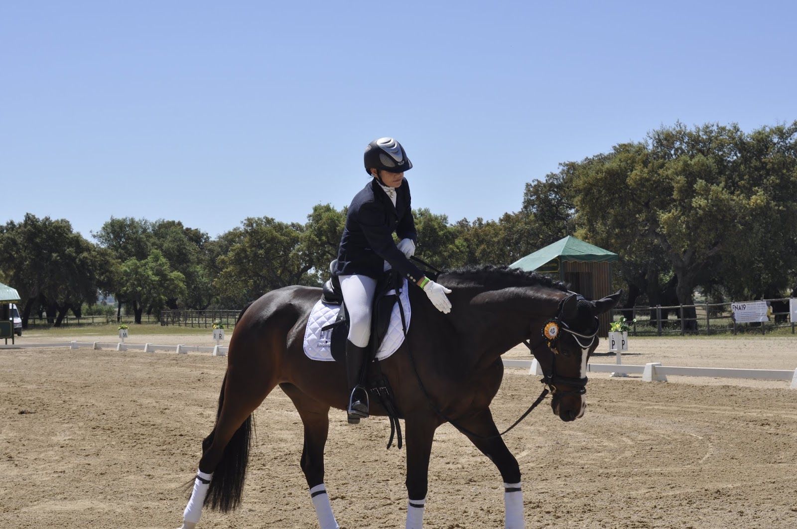 Companhia das Lezírias Parte 1