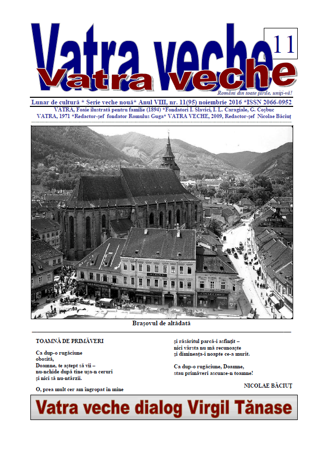VATRA VECHE 11 (95)