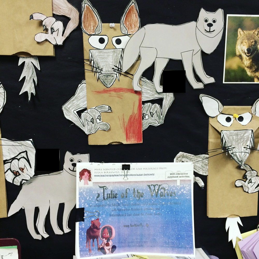 Literacy Skills and Older Students with Disabilities: Abandoning Sight