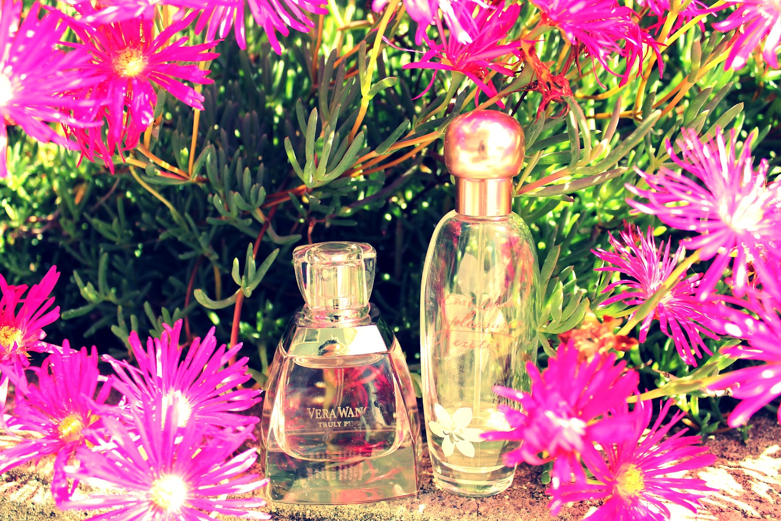 FLORAL SCENTS FOR SPRING
