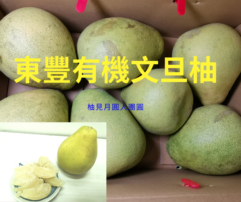 東豐有機文旦柚 東豐有機文旦柚