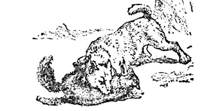 Hund und Fuchs – Streit um die Wurst – Fabel Korea Hund und Fuchs – Streit um die Wurst – Fabel Korea