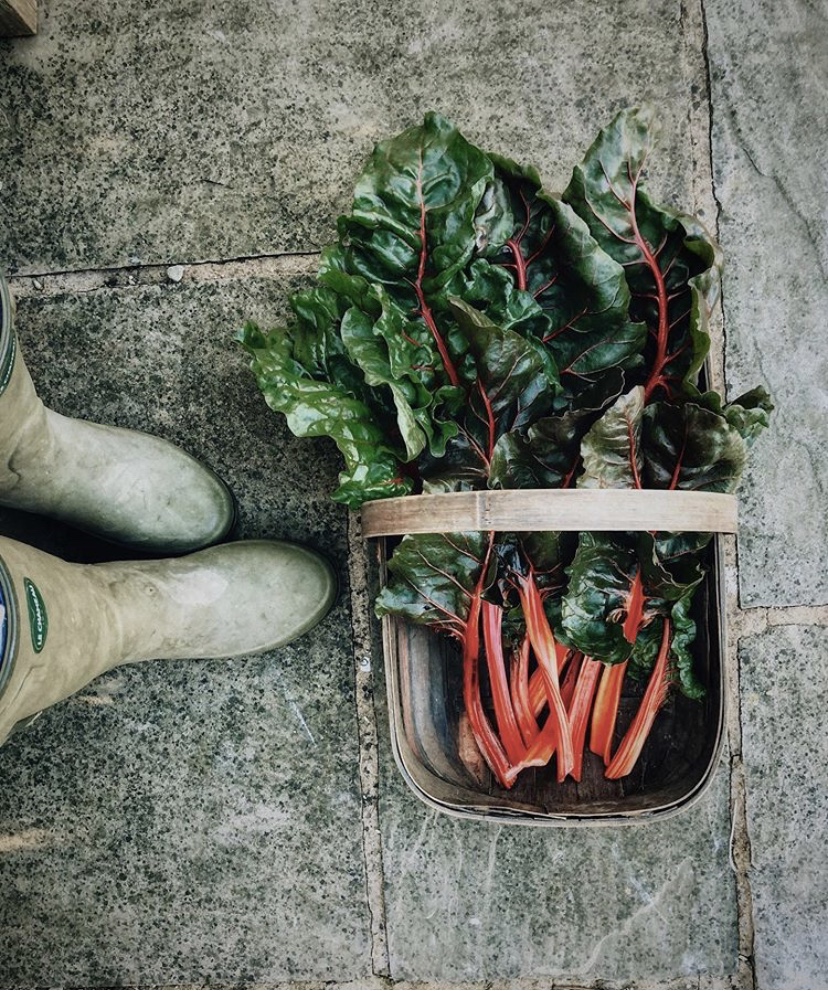 From Instagram | English Country Life with @irenemylife