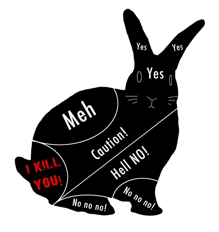 Rabbit Ramblings Where does your bunny like to be pet?