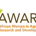 Deputy Director - Programs Wanted at AWARD
