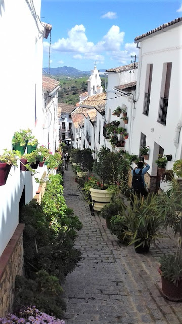 El Gastor, Flower-filled Street