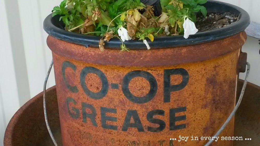 Afternoon at Farm joy in every season