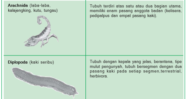 Haiwan Memasukkan Anggota Badan - Pengertian badan permusyawaratan desa