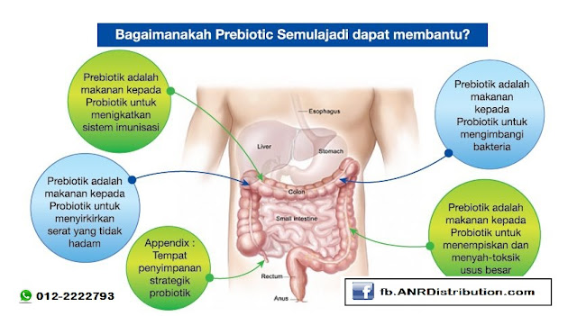 9 Kebaikan Probiotik untuk Kesihatan