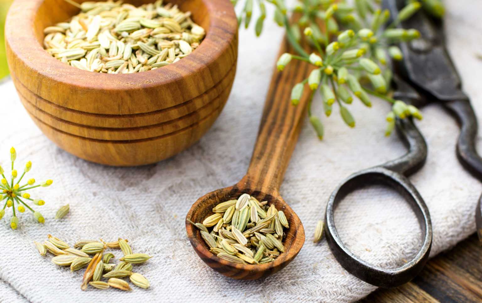 Chá de erva-doce:13 benefícios para a saúde e como preparar