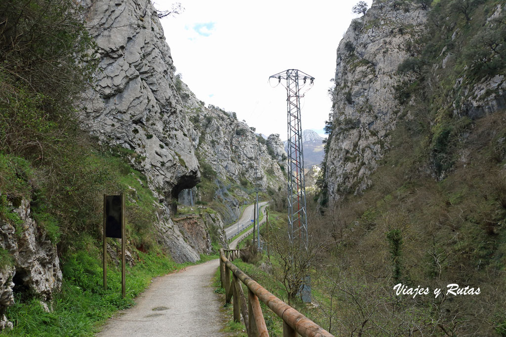 Senda del oso, Asturias